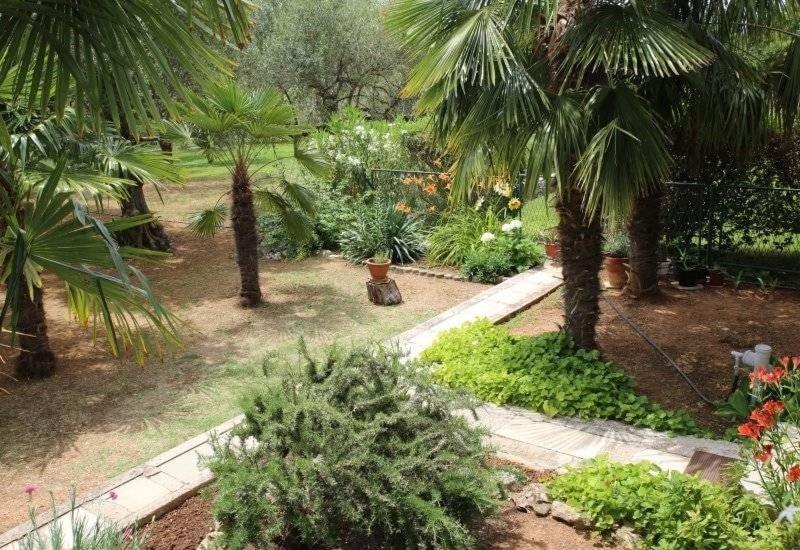 Apartment Plava Plaza فوديس المظهر الخارجي الصورة